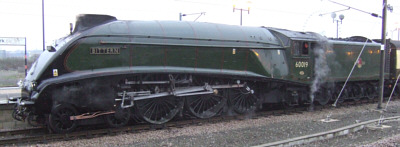 A4 No. 60019 'Bittern' as York in December 2007 (M. Turner)