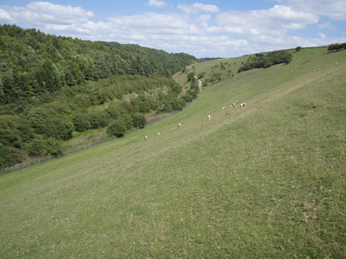 Curve on the uphill approach from Little Weighton (J.Broadwell)