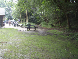 Trackbed from Fimber picnic site to Fimber gatehouse (J.Broadwell)